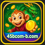 45b.com